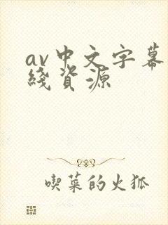 av中文字幕在线资源
