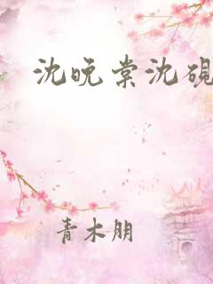 沈晚棠沈砚辞