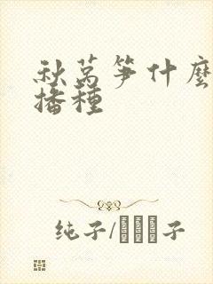 秋莴笋什么时候播种
