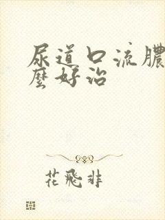 尿道口流脓吃什么好治