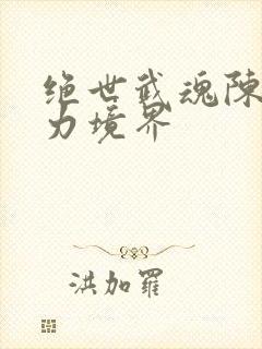 绝世武魂陈枫实力境界