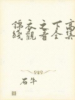 锦衣之下高清在线观看全集
