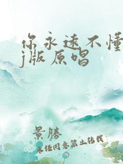 你永远不懂我dj版原唱