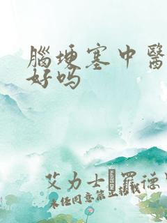 脑埂塞中医治疗好吗