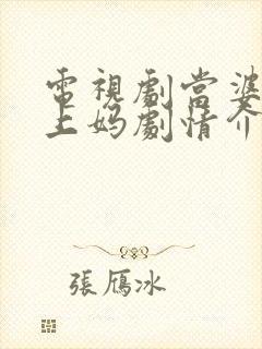 电视剧当婆婆遇上妈剧情介绍