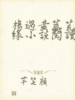 杨过黄蓉荒岛情缘小说阅读