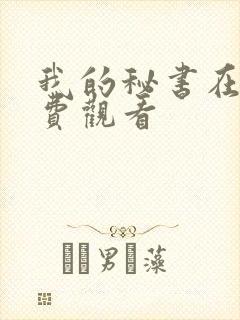 我的秘书在线免费观看