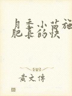月季小苗施什么肥长的快