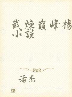 武炼巅峰杨开的小说