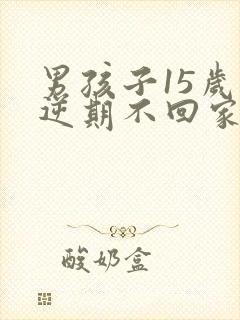 男孩子15岁叛逆期不回家怎么办