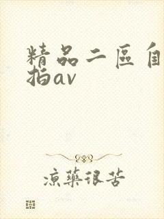 精品二区自拍偷拍av