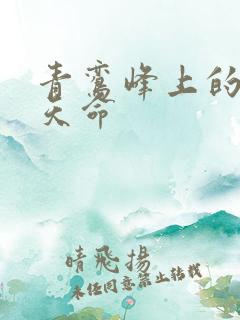 青鸾峰上的无敌天命