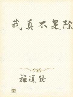 我真不是除念师