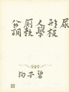 公厕人形尿便器调教学校