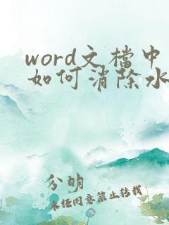 word文档中如何消除水印