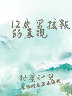12岁男孩叛逆的表现