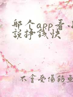 哪个app看小说挣钱快