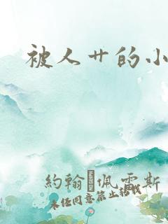 被人艹的小说