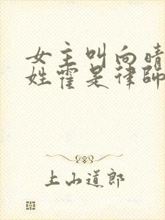 女主叫向晴男主姓霍是律师的小说
