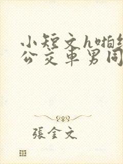 小短文h啪纯肉公交车男同