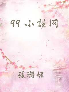99 小说网