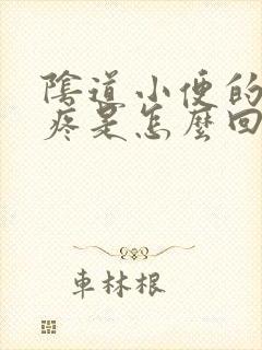 阴道小便的时候疼是怎么回事