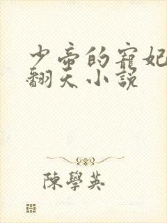 少帝的宠妃弃奴翻天小说