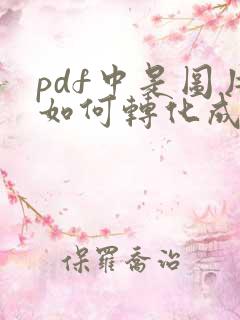 pdf中是图片如何转化成word文字