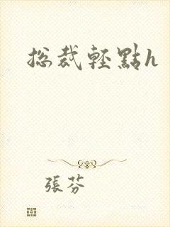 总裁轻点h