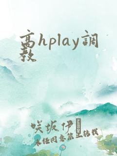 高hplay调教