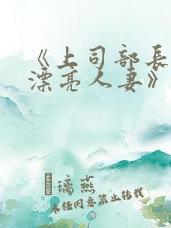 《上司部长出轨漂亮人妻》电影