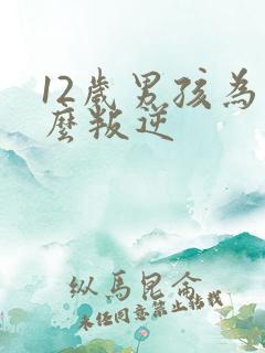 12岁男孩为什么叛逆