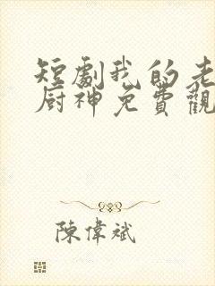 短剧我的老婆是厨神免费观看高清