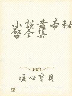 小说黄帝秘藏陈启全集