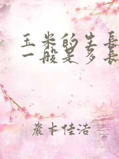 玉米的生长周期一般是多长时间