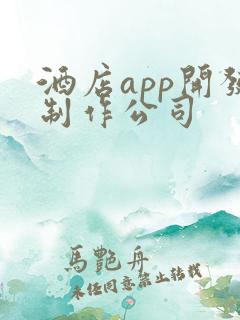 酒店app开发制作公司