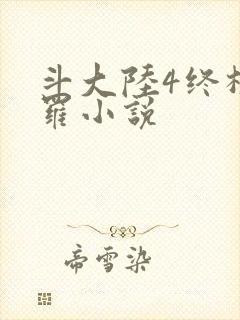 斗大陆4终极斗罗小说