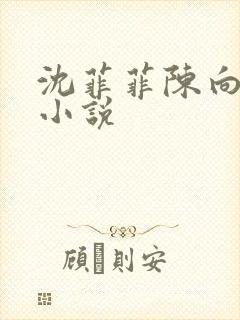 沈菲菲陈向斌的小说