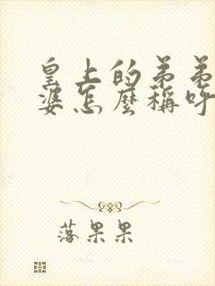 皇上的弟弟的老婆怎么称呼