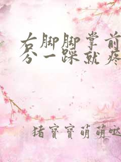 右脚脚掌前半部分一踩就疼