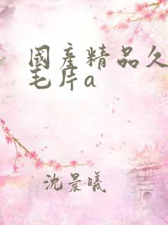 国产精品久久久毛片a