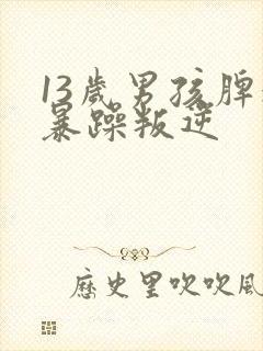 13岁男孩脾气暴躁叛逆