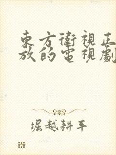 东方卫视正在播放的电视剧