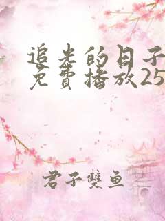 追光的日子全集免费播放25