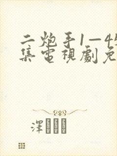 二炮手1—45集电视剧免费观看