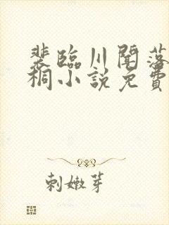 裴临川闻落宋雨桐小说免费阅读