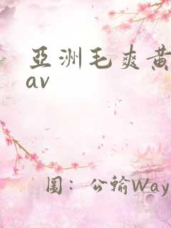 亚洲毛爽黄最新av