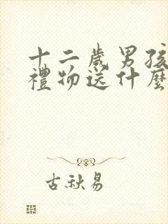 十二岁男孩生日礼物送什么合适