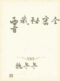 西藏秘密全集观看