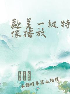 欧美一级特黄录像播放